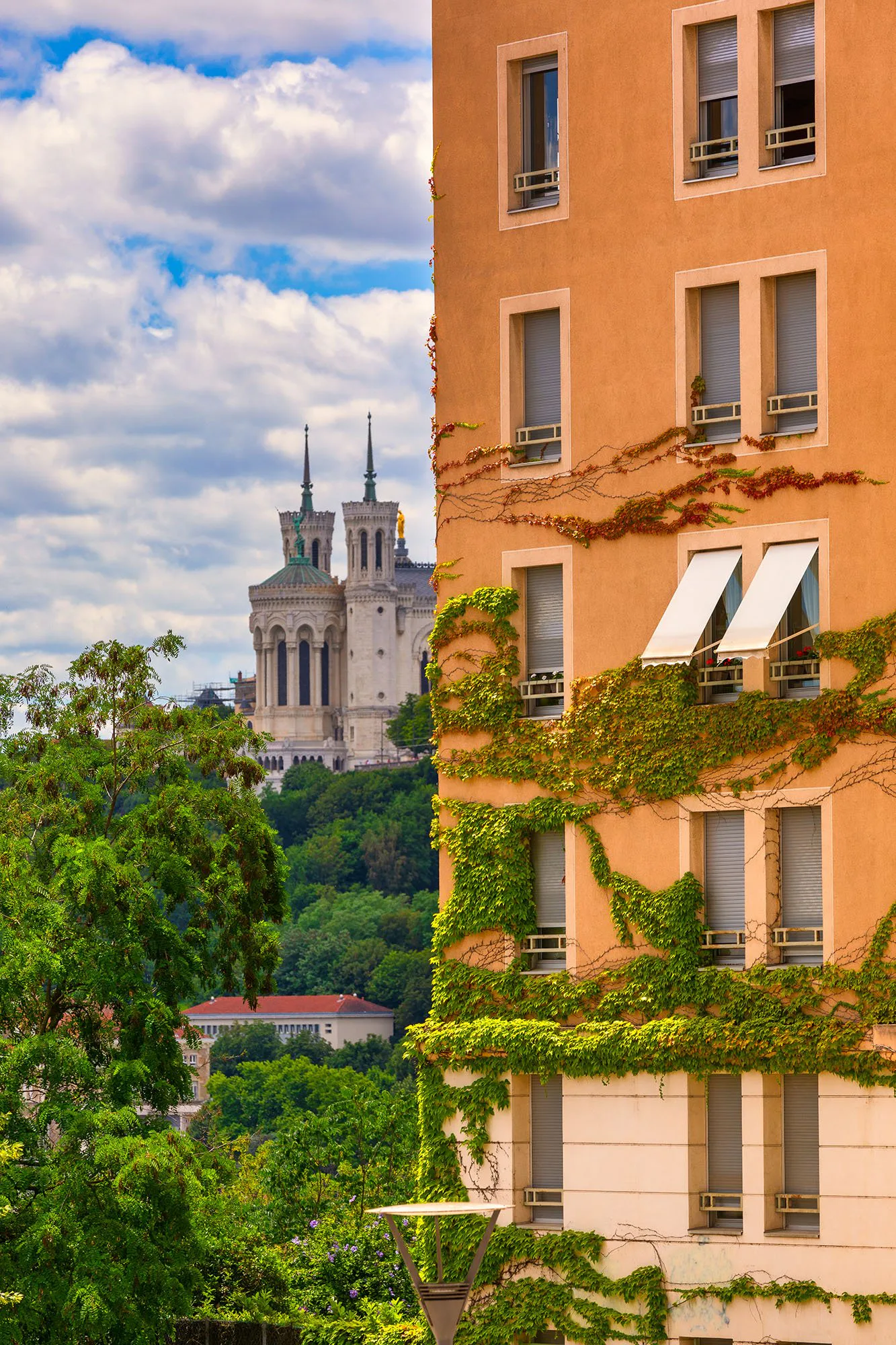 Tirage photo de Lyon « La nature gagne toujours » — Iulian Rotaru