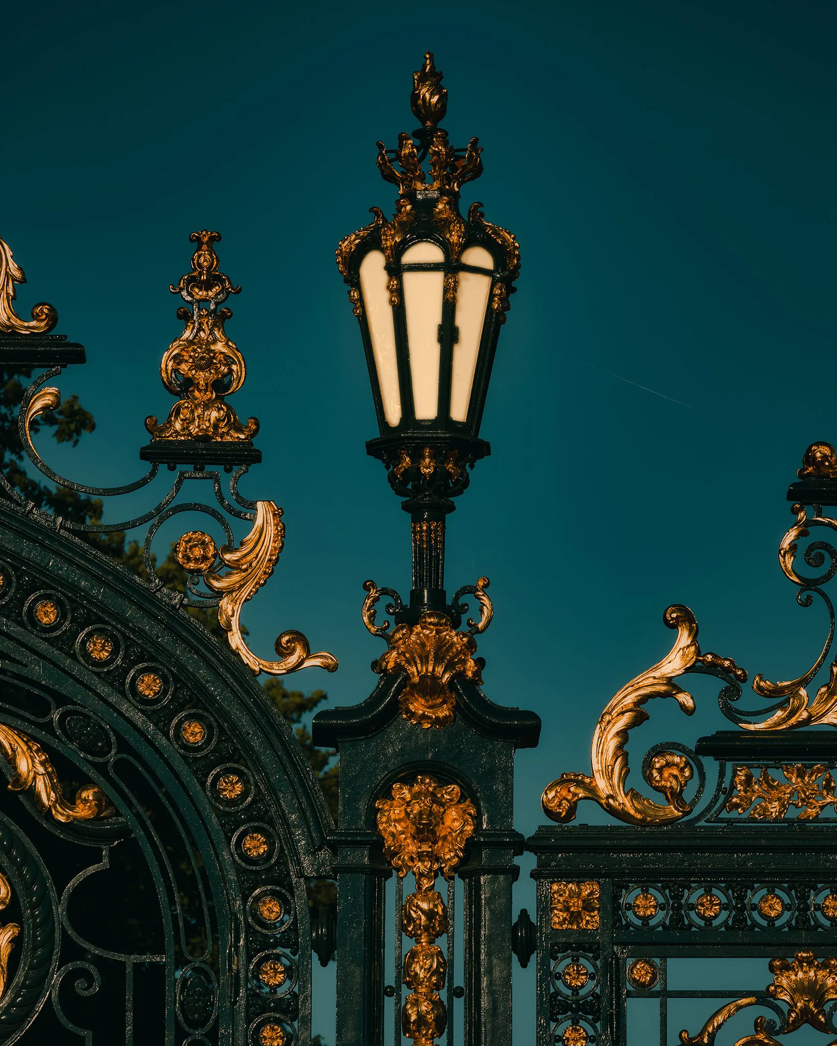 Tirage photo de Lyon « Tête d'Or texture » — Iulian Rotaru