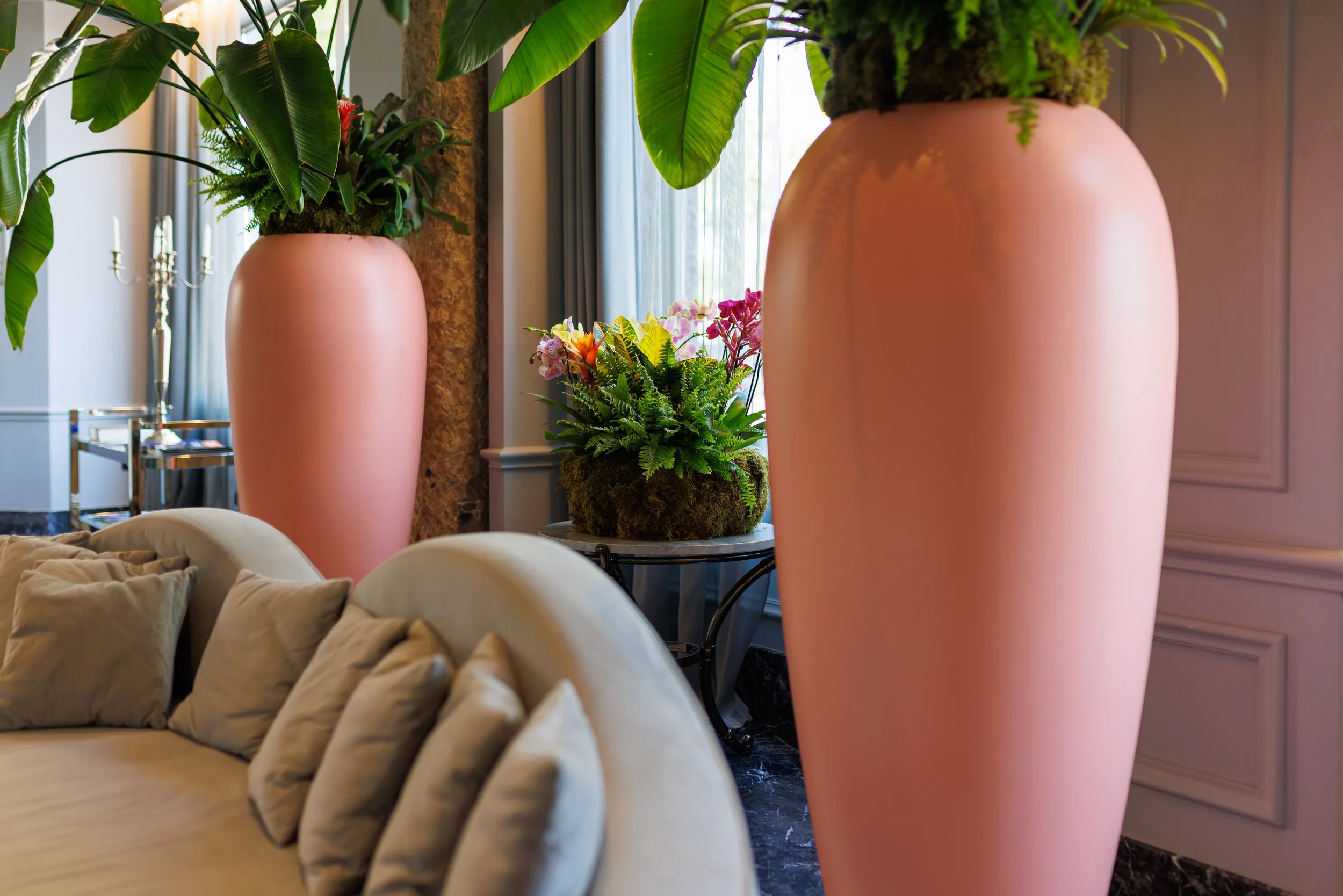 Deux grands pots en terre cuite rose contenant des plantes vertes, en intérieur ornamenté avec un canapé beige, des coussins, et d'autres plantes en fleurs près d'une fenêtre avec des rideaux gris.