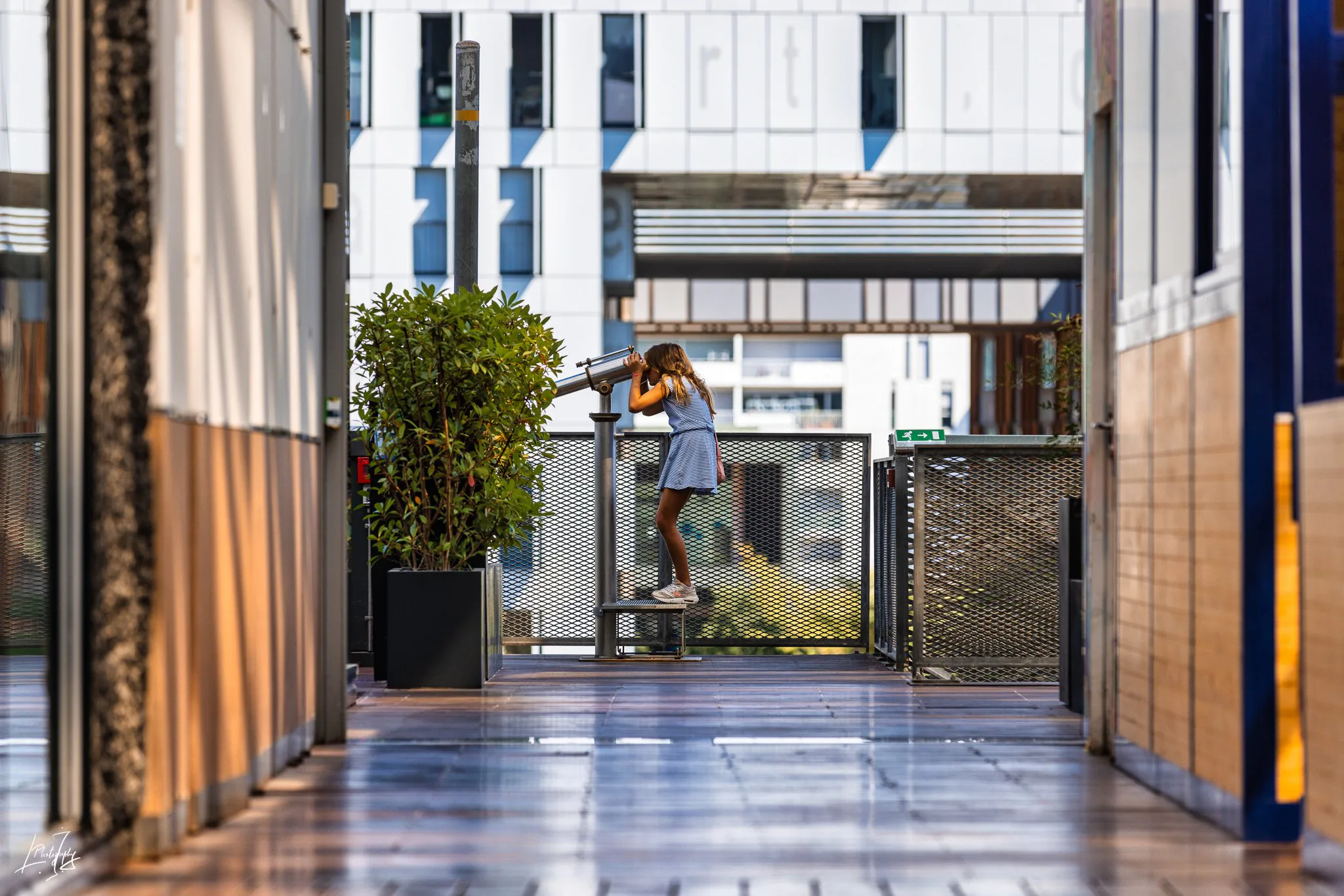 Projet Pôle de Commerces et de Loisirs Confluence — photographie de Lyon, 25